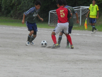 ファイル 1070-1.jpg