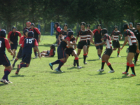 ファイル 1093-4.jpg