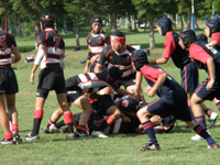 ファイル 1093-5.jpg