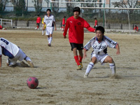 ファイル 1180-6.jpg