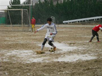 ファイル 1260-8.jpg