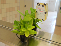 ファイル 1301-2.jpg