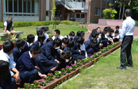 ファイル 1304-3.jpg