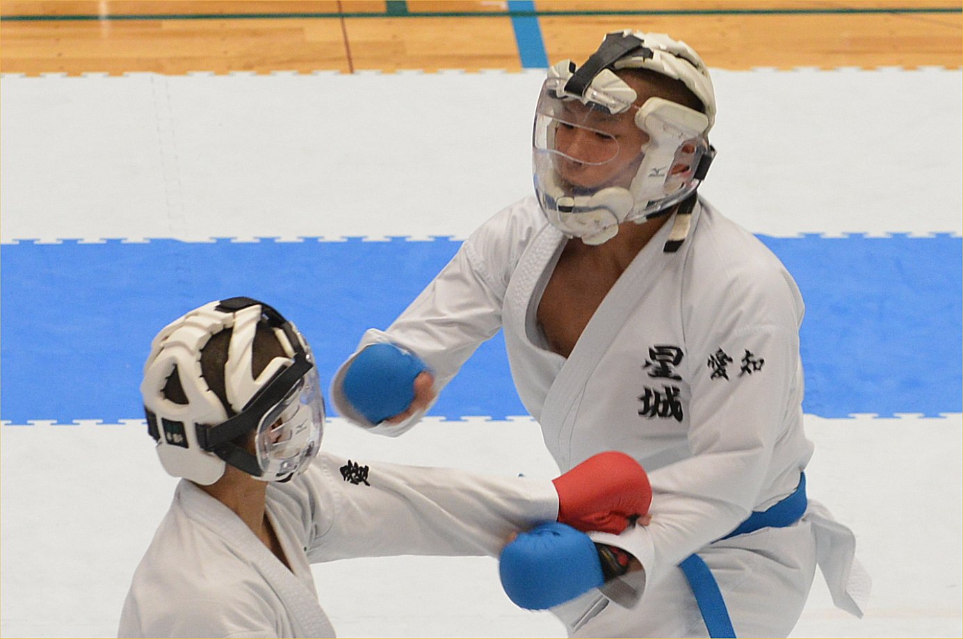 ファイル 1311-7.jpg