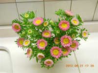 ファイル 1342-1.jpg