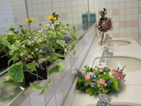 ファイル 1342-3.jpg