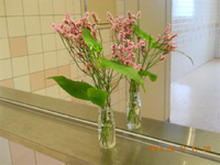 ファイル 1342-7.jpg