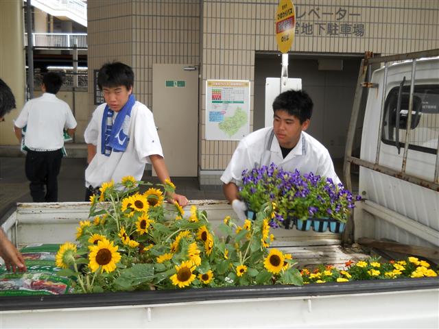 ファイル 1353-1.jpg