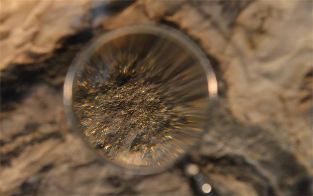 ファイル 1375-5.jpg