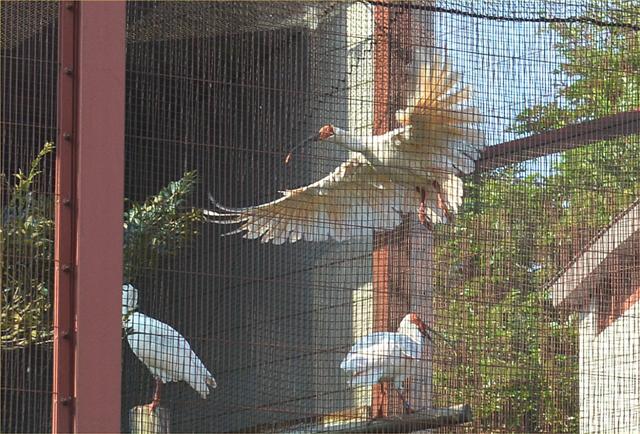 ファイル 1375-8.jpg