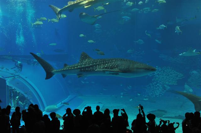 ファイル 1397-1.jpg