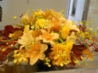 ファイル 1422-1.jpg