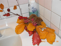 ファイル 1434-1.jpg