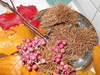 ファイル 1434-2.jpg