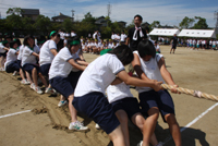 ファイル 1437-5.jpg