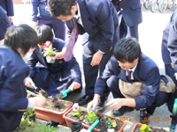 ファイル 1459-1.jpg