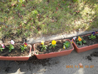 ファイル 1459-2.jpg