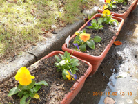 ファイル 1459-4.jpg