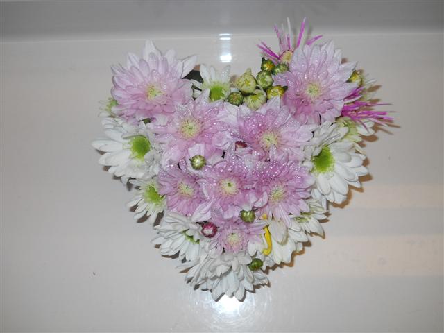 ファイル 1485-3.jpg