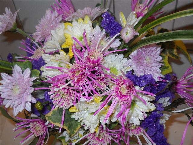 ファイル 1485-7.jpg