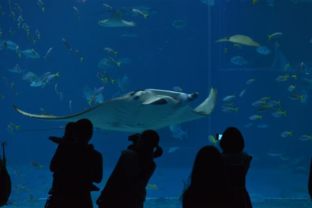 ファイル 1488-3.jpg