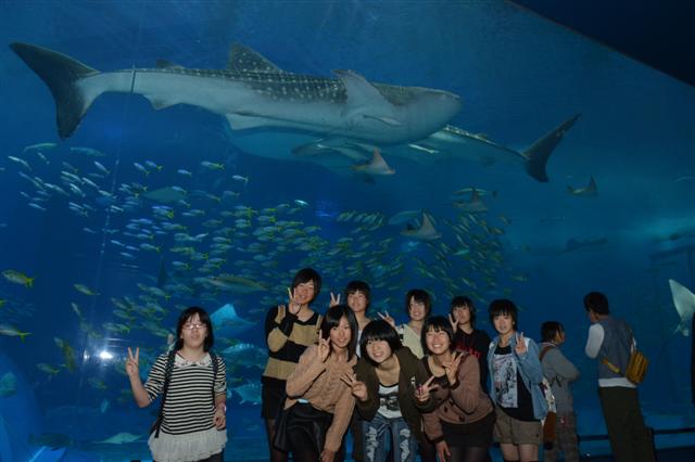 ファイル 1488-4.jpg