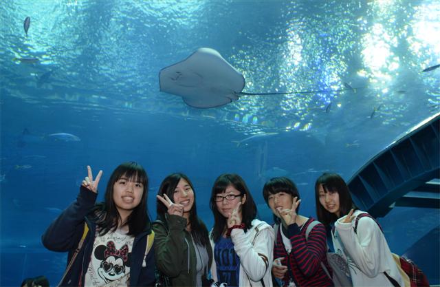 ファイル 1488-5.jpg