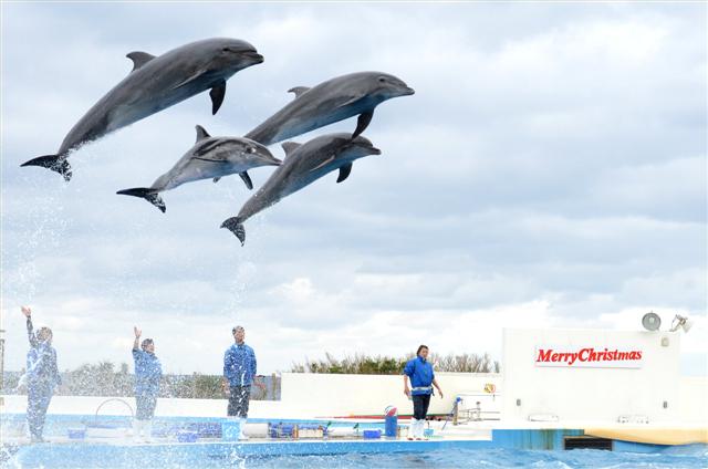 ファイル 1488-6.jpg