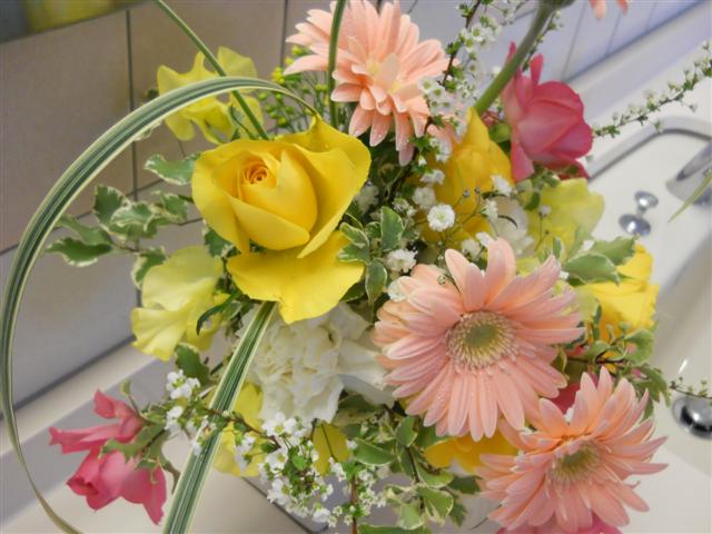 ファイル 1519-1.jpg