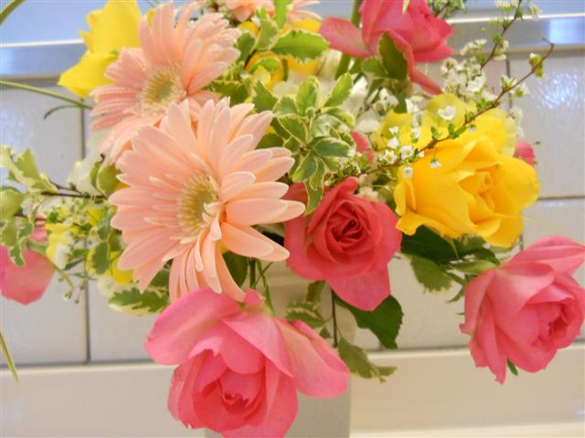 ファイル 1519-2.jpg