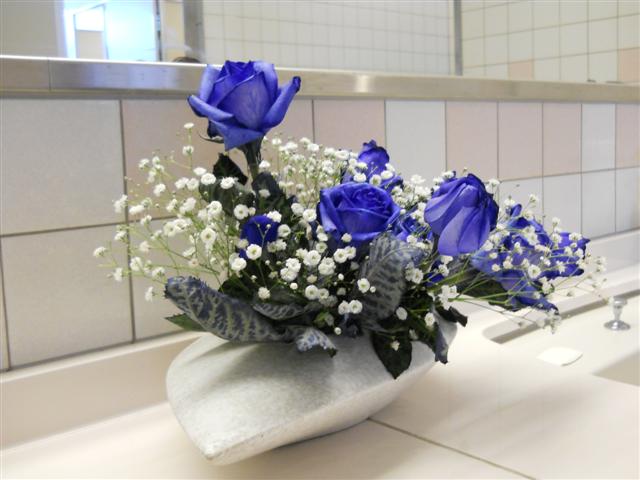 ファイル 1527-1.jpg