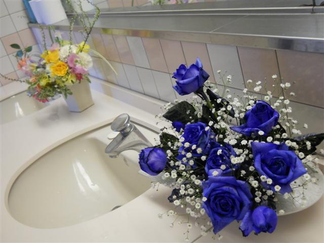 ファイル 1527-3.jpg