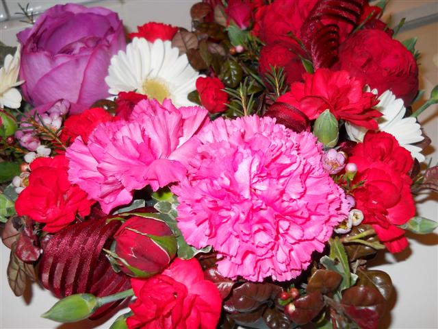 ファイル 1527-7.jpg