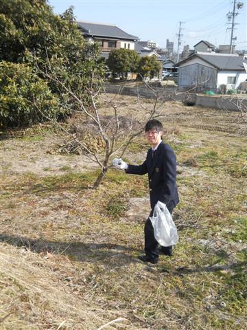 ファイル 1533-4.jpg