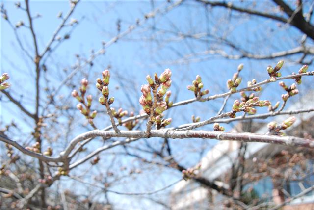 ファイル 1569-2.jpg