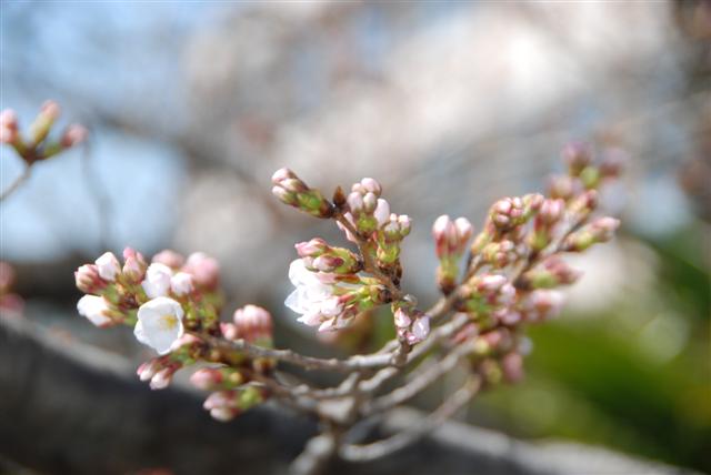 ファイル 1569-3.jpg