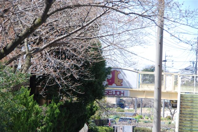 ファイル 1569-4.jpg