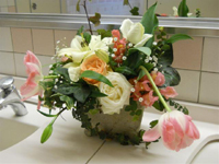 ファイル 1571-3.jpg