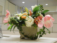 ファイル 1571-5.jpg