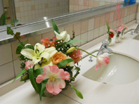 ファイル 1571-6.jpg