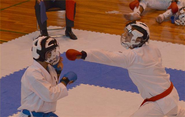 ファイル 1655-3.jpg