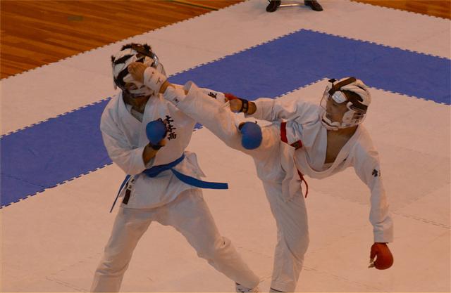 ファイル 1655-4.jpg