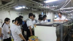 ファイル 1675-3.jpg