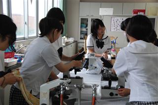 ファイル 1690-2.jpg