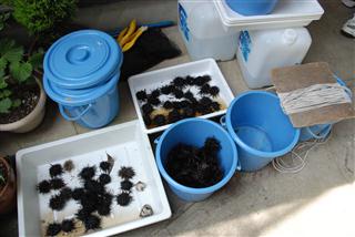 ファイル 1692-1.jpg