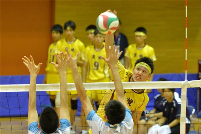 ファイル 1721-6.jpg