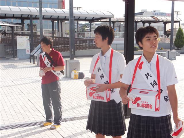 ファイル 1785-1.jpg