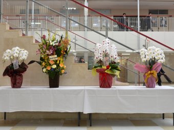 ファイル 1886-1.jpg