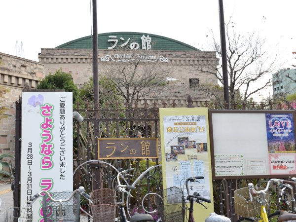 ファイル 1947-1.jpg