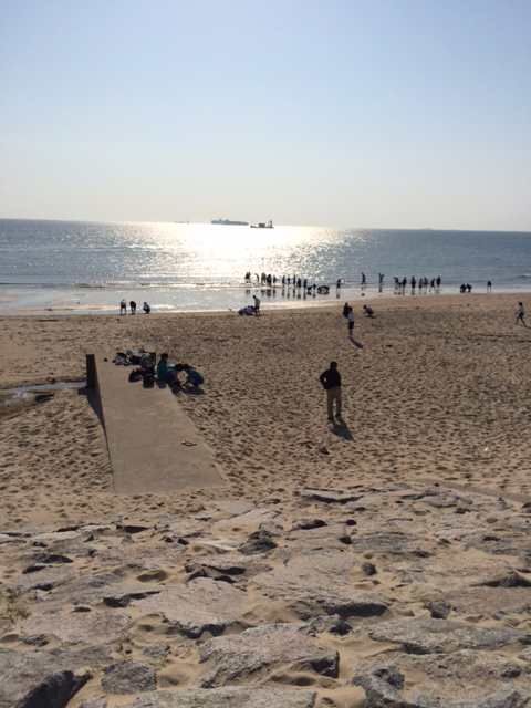 ファイル 1973-4.jpg